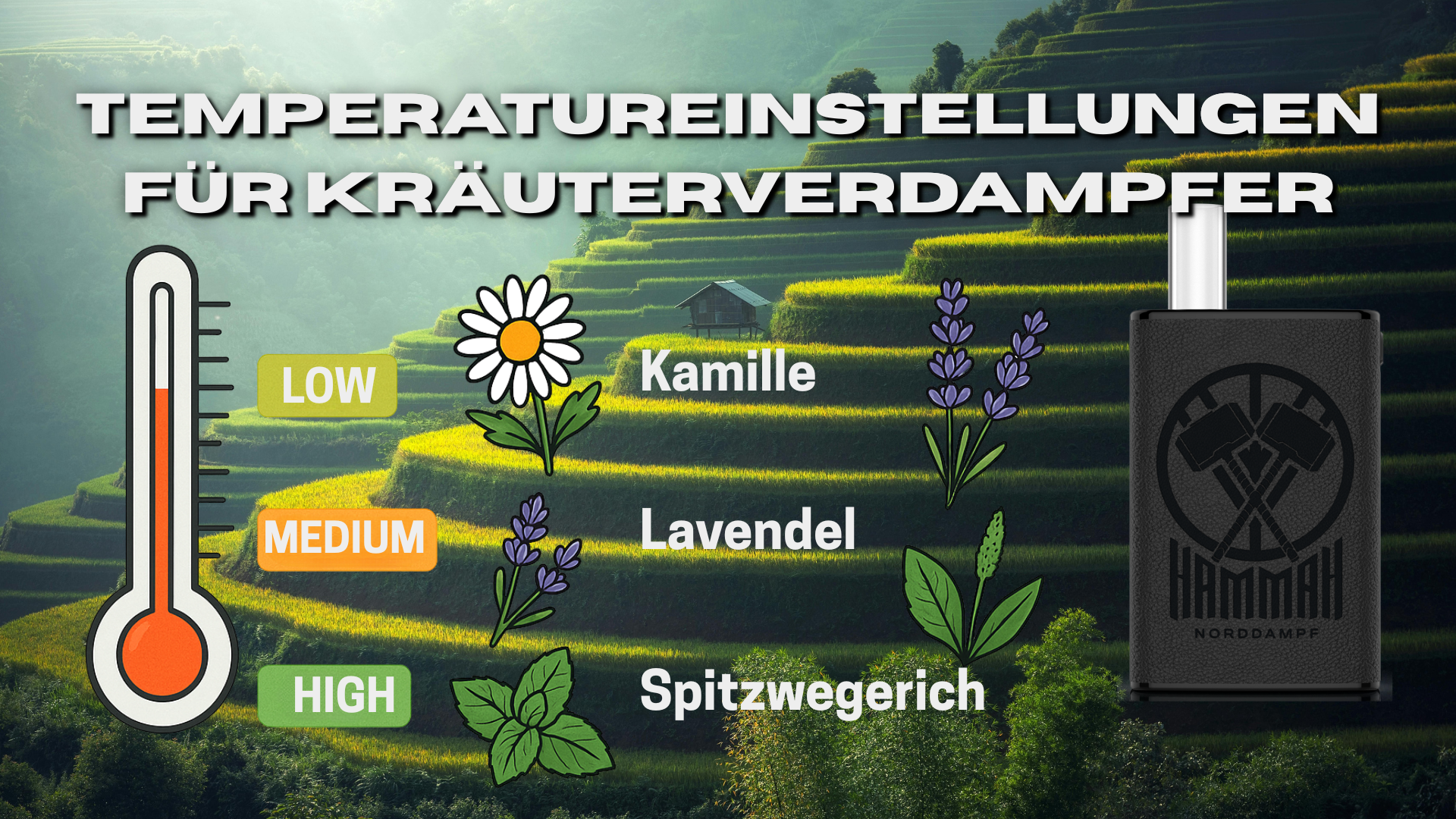 Die optimale Temperatureinstellung Kräuterverdampfer für besten Genuss